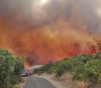За послідній період взникло аж 217 пожарів з причины выпальованя травы